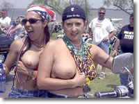 Dawgs on Hawgs Biker Chick Pictures